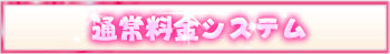 通常料金システム