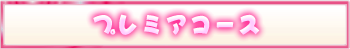 プレミアコース