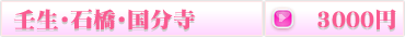 壬生・石橋・国分寺